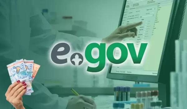 За eGov придется платить, а цифровизация под угрозой в Казахстане