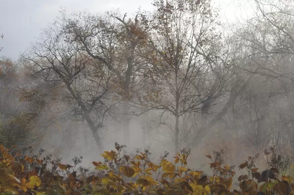 Погода в Казахстане на 3 октября: заморозки и дожди в ряде регионов