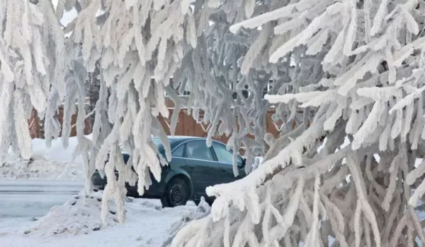 Прогноз погоды в Казахстане на 20–22 января: морозы до -38°C