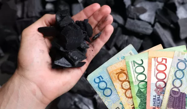Отопление домов стало дороже: что происходит с ценами на уголь