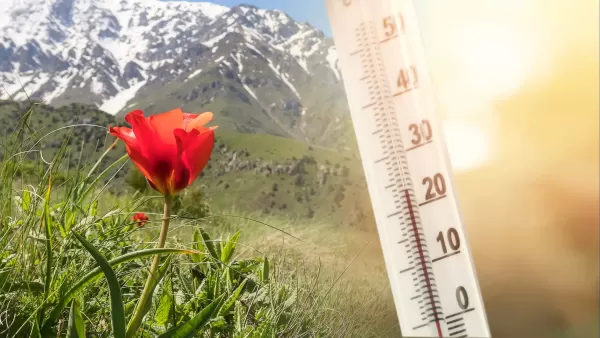 Погода в Казахстане 20 апреля: до +35°C и ветер с дождями