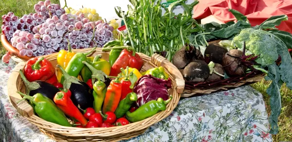 В Астане снова откроют фермерскую ярмарку: что стоит купить